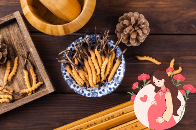 Đông trùng hạ thảo tác dụng gì với phụ nữ: Tốt cho mẹ bầu