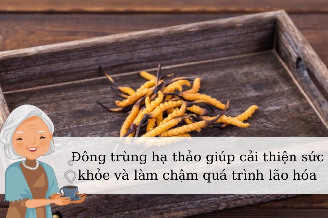 Phụ nữ uống đông trùng hạ thảo có tốt không?