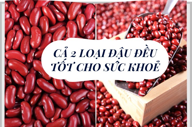 Đậu đỏ hạt to hay hạt nhỏ tốt hơn: Cả 2 đều tốt