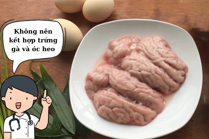 Trứng gà và óc là cặp thực phẩm kỵ nhau