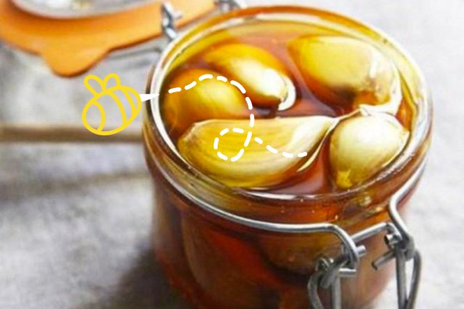 Mật ong và tỏi có kỵ nhau không: Không kỵ