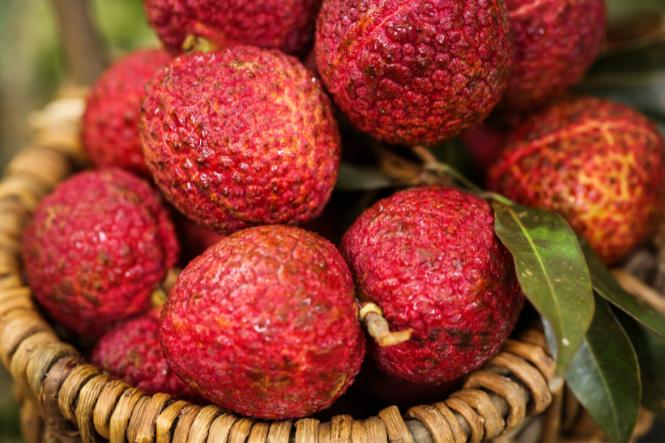 Bà bầu ăn vải được không: Có nhưng không nên ăn nhiều