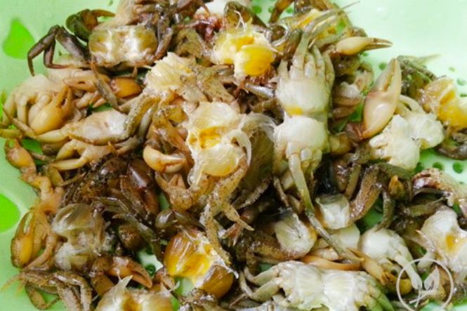 Không nên ăn cua đồng đã chết