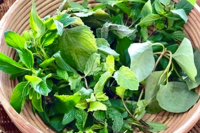 Nên ăn ngay rau thơm thay vì bỏ tủ lạnh