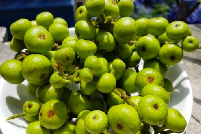 Không ăn thịt bò chung với sung