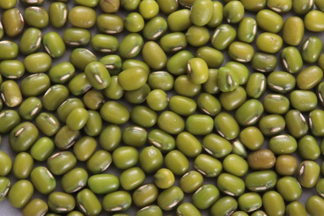 Thịt bò có kỵ với đậu xanh không: Đậu xanh không kị thịt bò