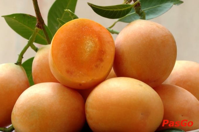 Thanh trà Vĩnh Long – trái cây vàng óng với vị chua thanh hấp dẫn