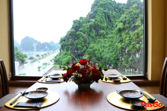 Hatoyama - Hạ Long-5