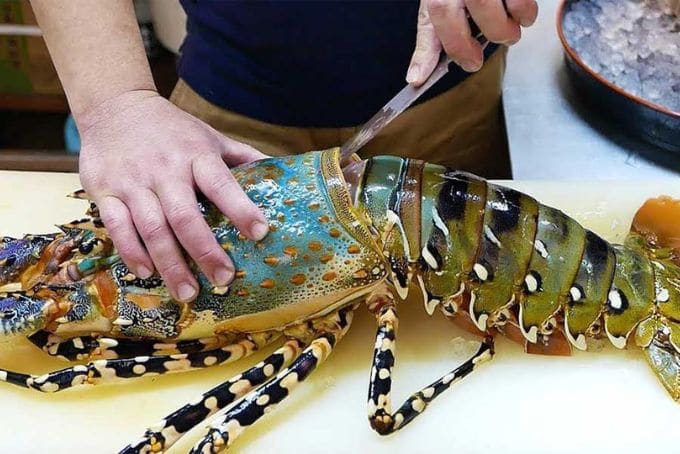 cách sơ chế tôm hùm: tách phần đầu và thân của tôm hùm