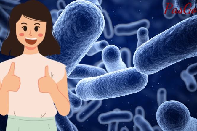 Bụng đầy hơi khó tiêu phải làm sao: Bổ sung thêm lợi khuẩn tiêu hóa