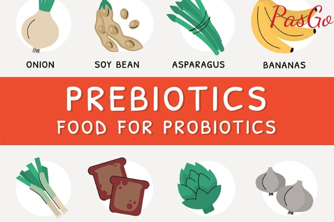 Prebiotics mang đến nhiều lợi ích cho trẻ bị táo bón