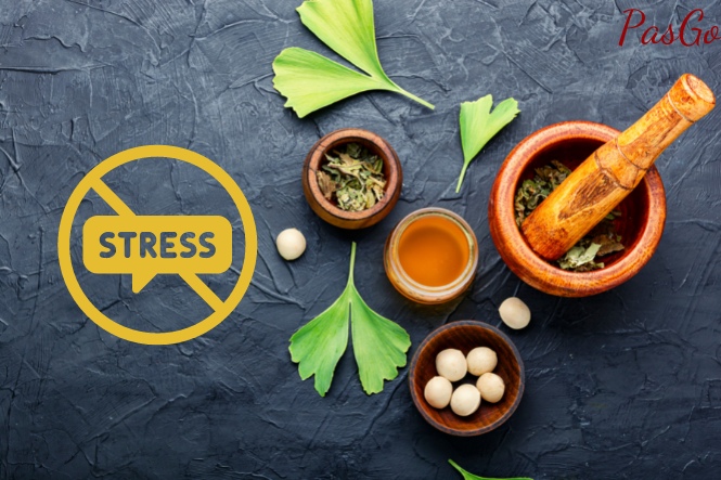 Ginkgo biloba giúp giảm cảm giác lo âu, căng thẳng