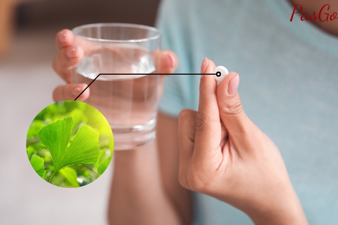 Uống Ginkgo biloba lúc nào tốt: Nên uống vào buổi sáng hoặc buổi trưa