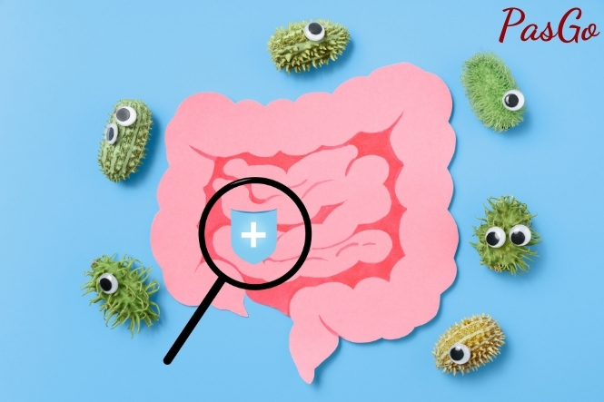 Lợi khuẩn giúp đường ruột của trẻ hoạt động tốt hơn