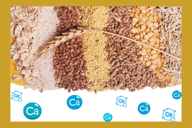 Ngũ cốc là nguồn bổ sung canxi lý tưởng