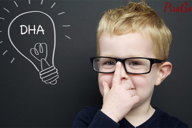 Bổ sung DHA giúp trẻ phát triển tốt khả năng tư duy và ghi nhớ