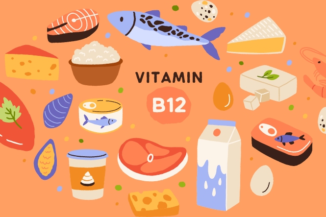 Vitamin B12 có nhiều trong thực phẩm hằng ngày