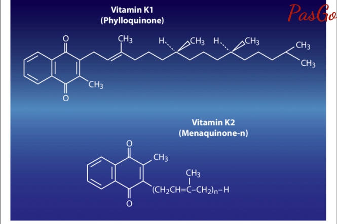 Cơ thể hít vào Vi-Ta-Min K2, dạng MK7 chất lượng tốt rộng lớn đối với dạng K1