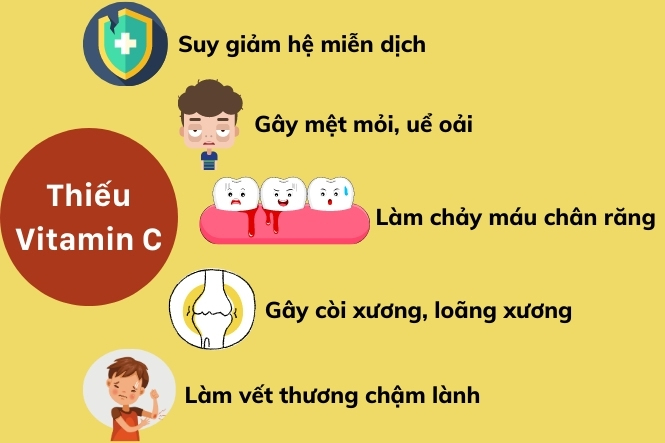 Vitamin C liên quan mật thiết đến hệ miễn dịch của chúng ta