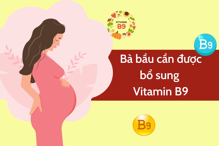 Bà bầu cần được bổ sung đủ Vitamin B9