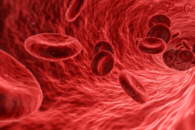 Vitamin B12 tham gia vào quá trình tạo máu của cơ thể