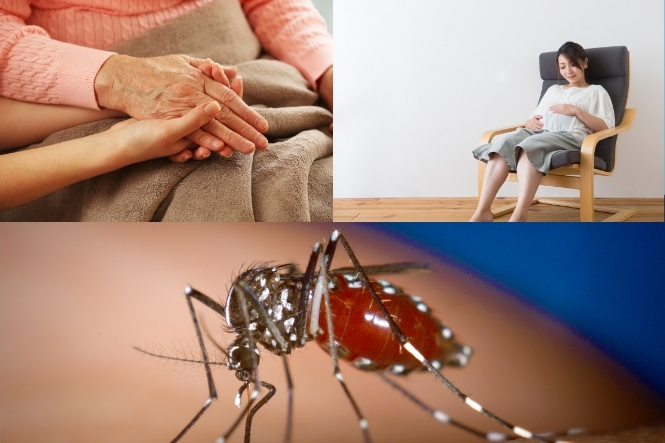 Phụ nữ có thai và người già là đối tượng dễ gặp các triệu chứng nặng của sốt xuất huyết