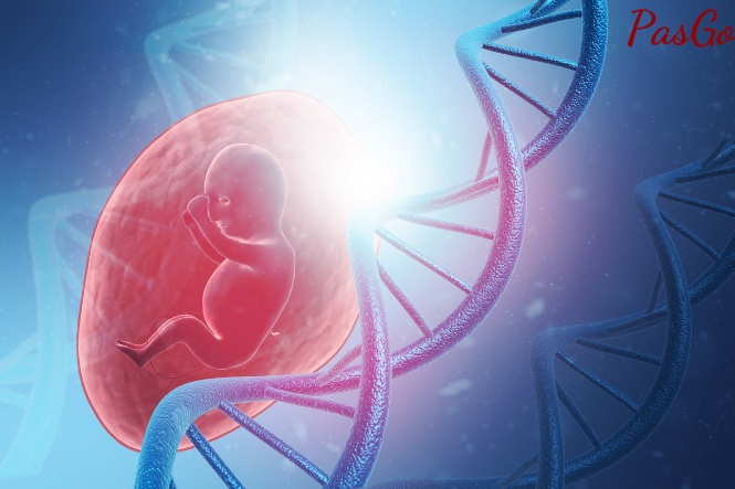 Uống rượu khi mang thai 3 tháng đầu làm ảnh hưởng đến thể chất và não bộ của trẻ