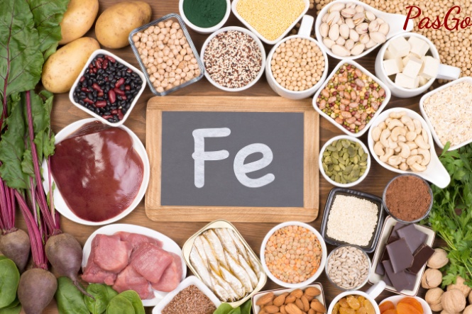Sắt rất quan trọng cho hệ tạo máu của thai nhi