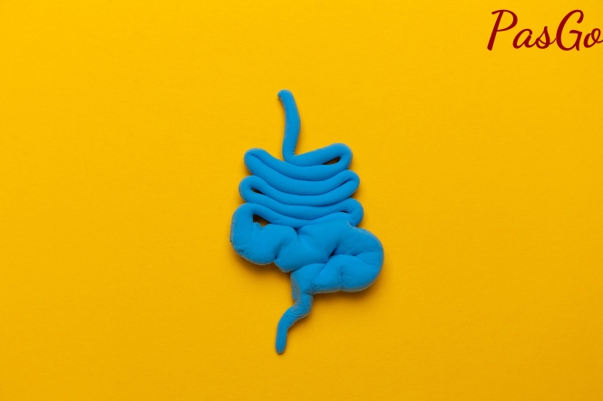 Thuốc nhuận tràng kích thích làm tăng nhu động ruột