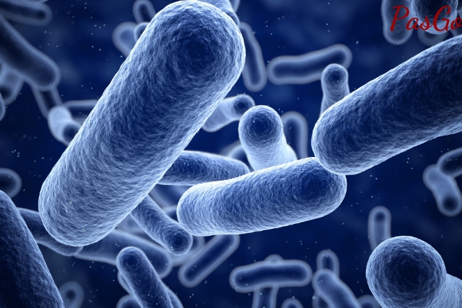 Tăng cường sức đề kháng cho trẻ dưới 1 tuổi bằng cách bổ sung lợi khuẩn