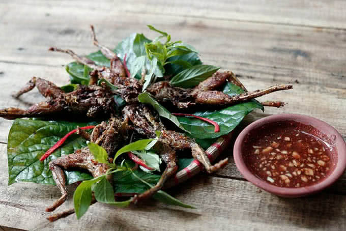Chão chuộc đồng quê ao quán ngõ 19 đông tác