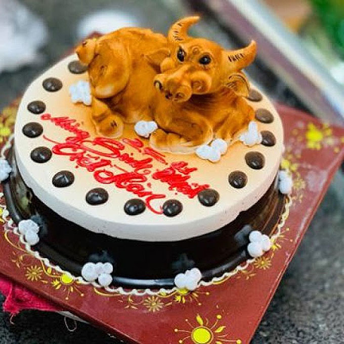 Bánh sinh nhật cho hai bé sinh đôi - Thu Hường Bakery