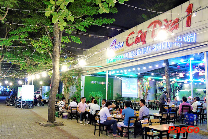 Cây Dừa 1 - Nguyễn Tất Thành -19