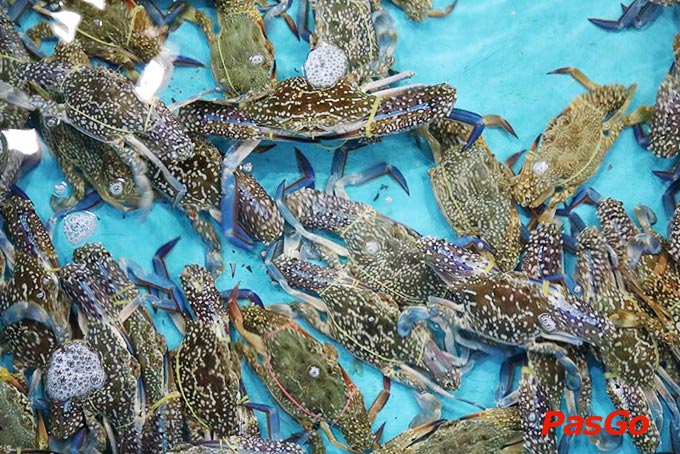 Nhà hàng Hải sản San Hô - 10