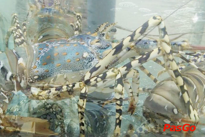 Nhà hàng Hải sản San Hô - 11