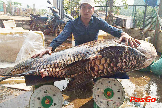 Nhà hàng La Cà Quán Xuân La - 2