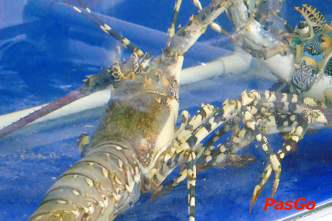 Lẩu Huyền Võ Văn Kiệt - 16