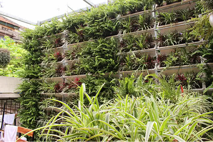 nhà hàng Góc Hà Nội 259 Tô Hiệu ảnh 14