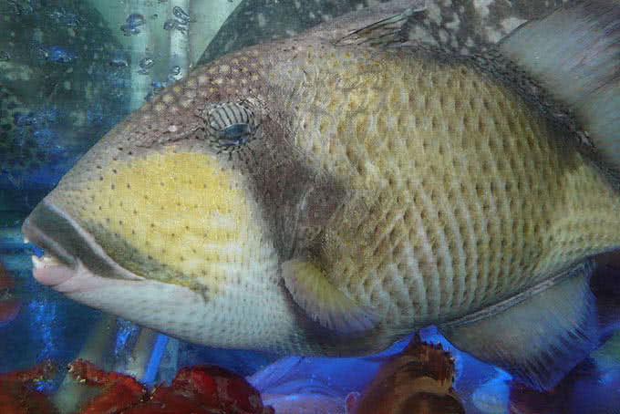 nhà hàng hải sản gold 2 nguyễn thị diệu 6