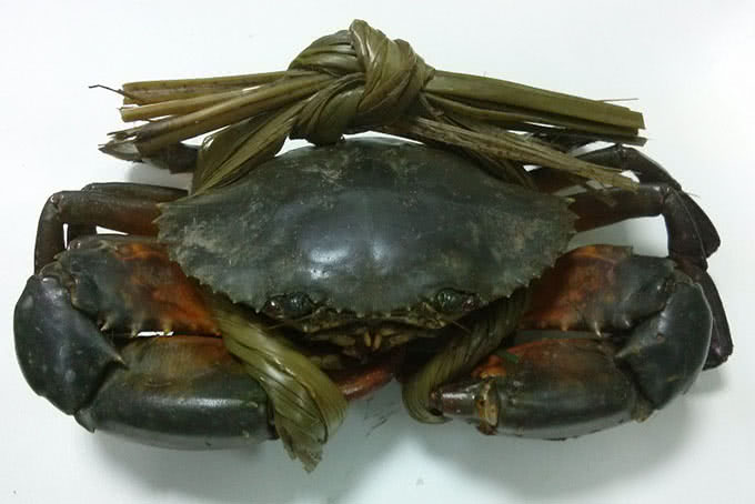 nhà hàng hải sản gold 2 nguyễn thị diệu 8