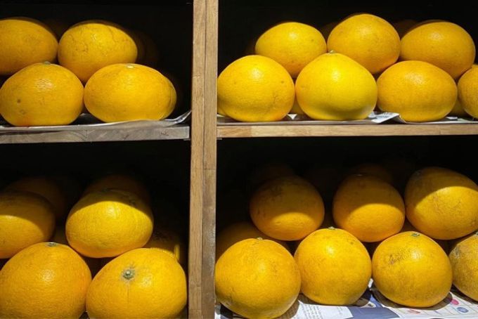 Hướng dẫn cách bảo quản bưởi tươi lâu bằng giàn tre, chuẩn không cần chỉnh