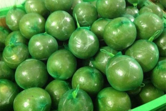 Cách bảo quản bưởi tươi lâu bằng túi lưới