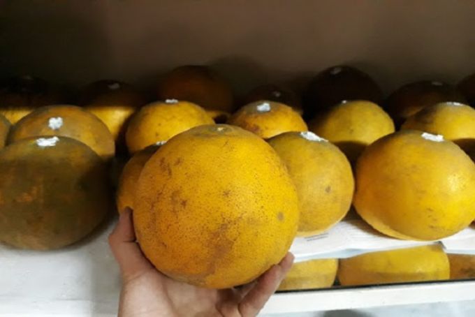 Bảo quản bưởi diễn tươi lâu, ngon ngọt, mọng nước