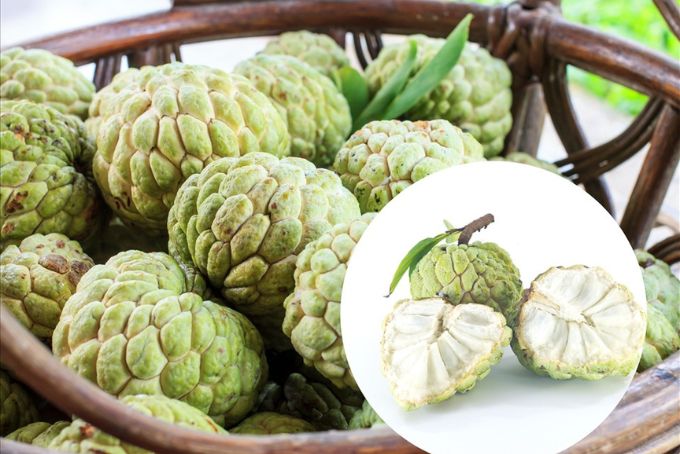 Cách chọn na ngon ngọt, ít hạt, dày cùi