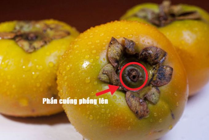 Phần cuống của trái hồng giòn phồng lên, nở căng thường giòn thơm hơn những trái khác