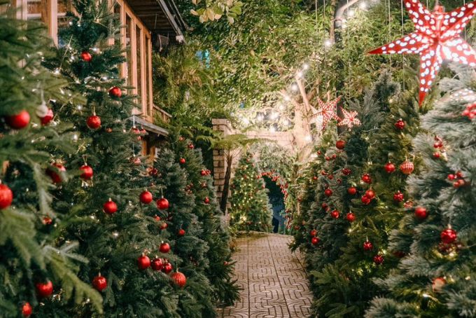Các quán cafe trang trí noel đẹp ở Sài Gòn - Sori Garden
