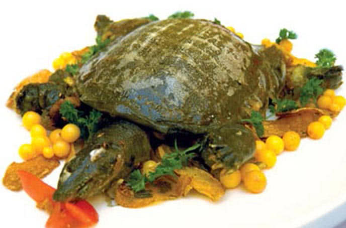 nhà hàng hương quê nghi tàm 8