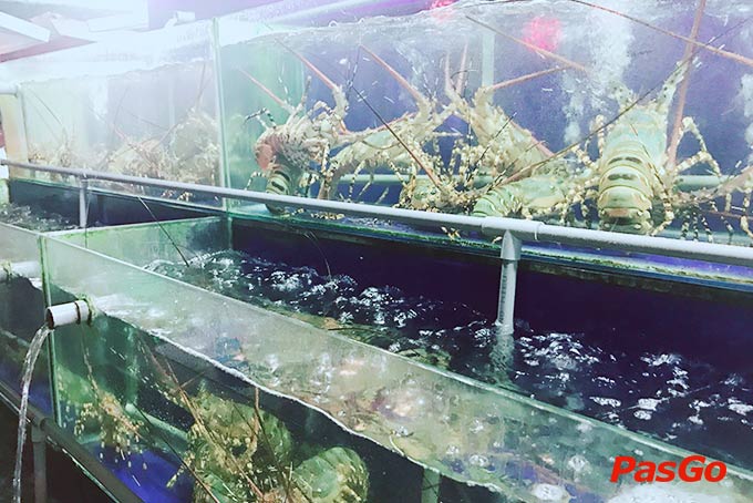 Nhà hàng Hải Sản Bé Anh 1 Hồ Nghinh 6