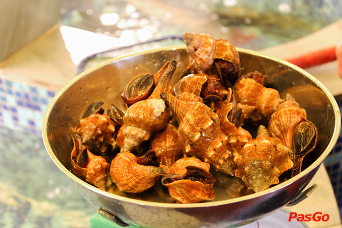 Cây Sung Quán – Phạm Thái Bường -3