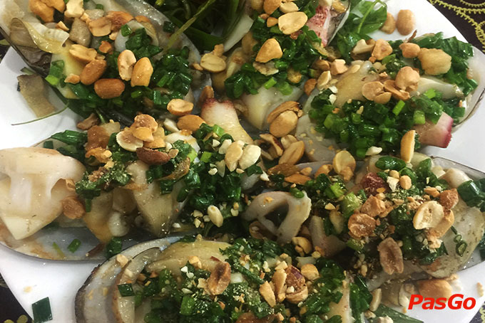 Cây Sung Quán – Phạm Thái Bường -4